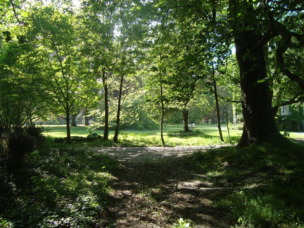 Chalet Du Bel Event La Chapelle-sur-Dun Zewnętrze zdjęcie
